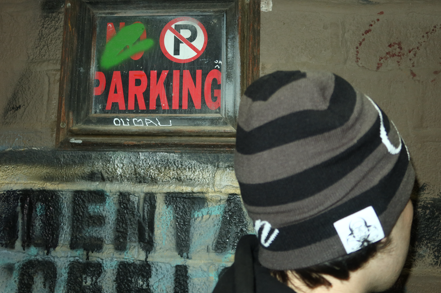 'shadow' beanie